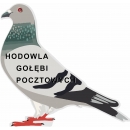 Tabliczka w kształcie gołębia